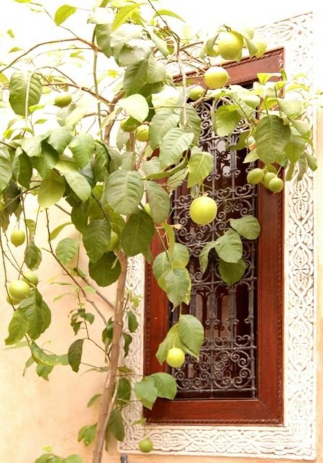 Riad Dar Rania Marrakech Medina Jemaa El Fna Marrakesh Eksteriør billede